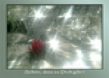 wp16d227da_0f.jpg