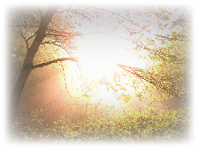 wp22a1588b.png